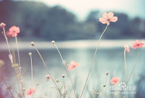 怎样才能中午的时候不瞌睡？