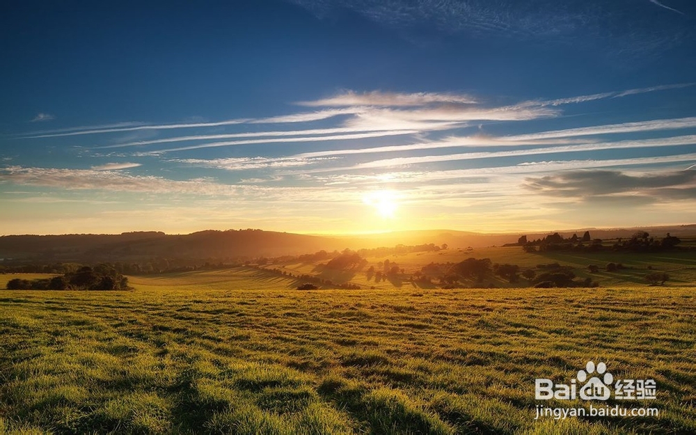 经济信息资源开发与利用：[33]复习总结三十三