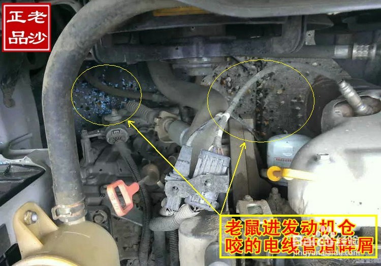 发动机舱防鼠包,防鼠器,小汽车进老鼠解决办法