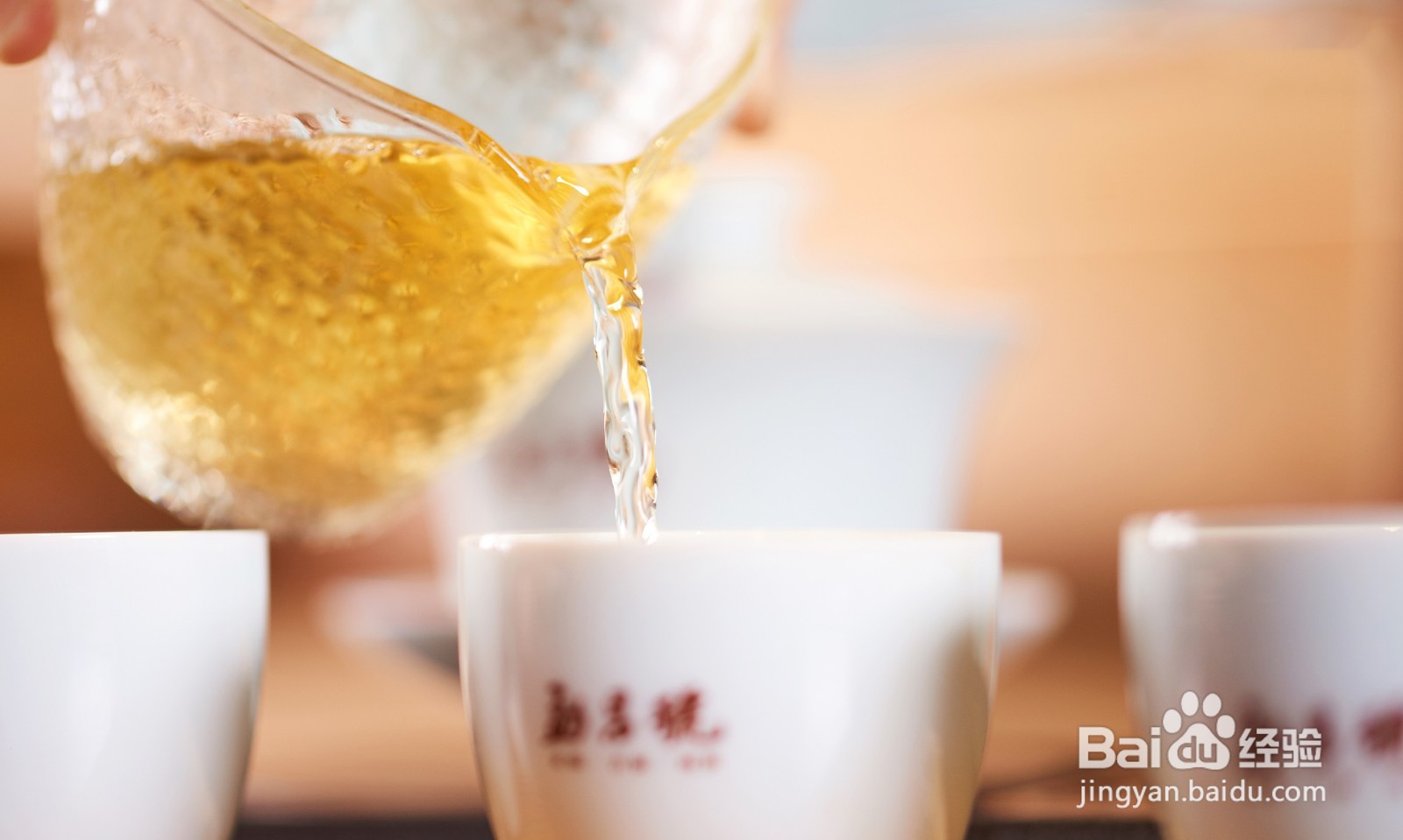 如何冲泡普洱茶?