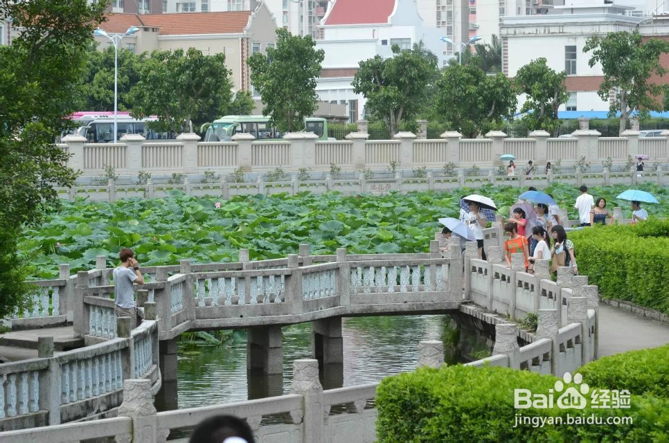 我的溜溜海南-：[8]厦门旅游攻略