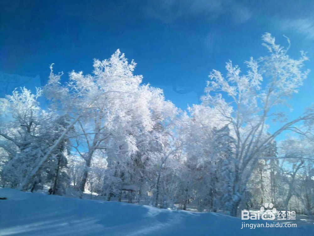 雪景的美丽和魅力