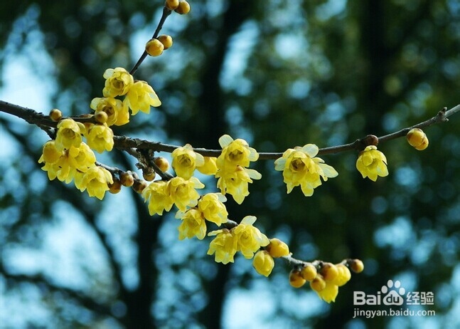 冬季应该练习瑜伽吗