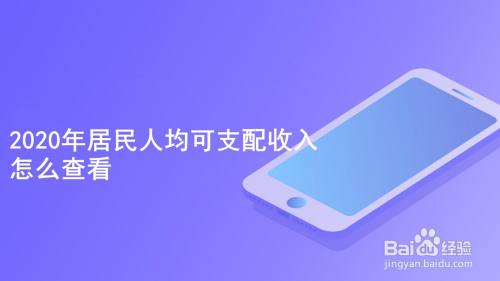 2020年居民人均可支配收入怎么查看