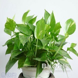 有效降低心脏病风险的7个对策