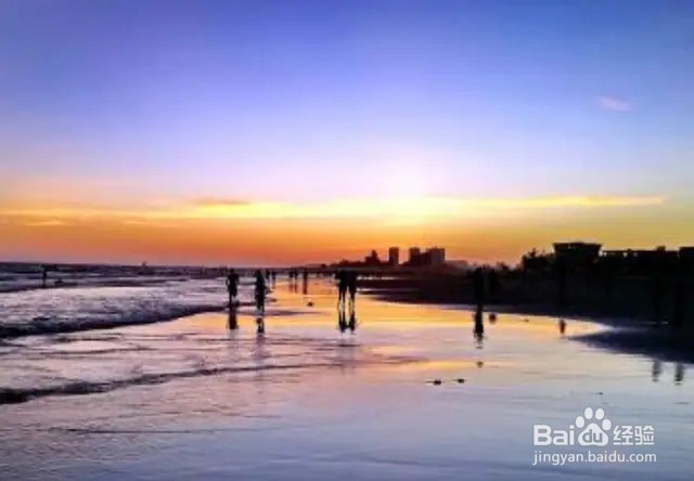 2019年天津赶海拾贝攻略