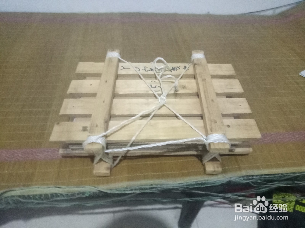 怎么制作松树标本
