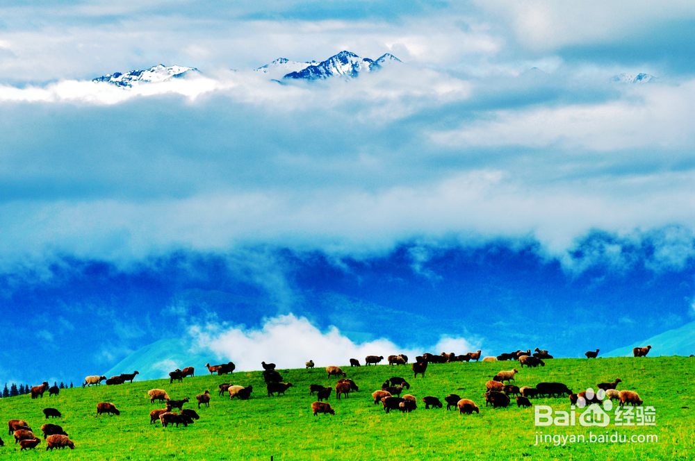 新疆天山，不仅有瀚海黄沙，更有雄伟壮阔