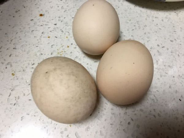 蛋炒饭~黄瓜火腿