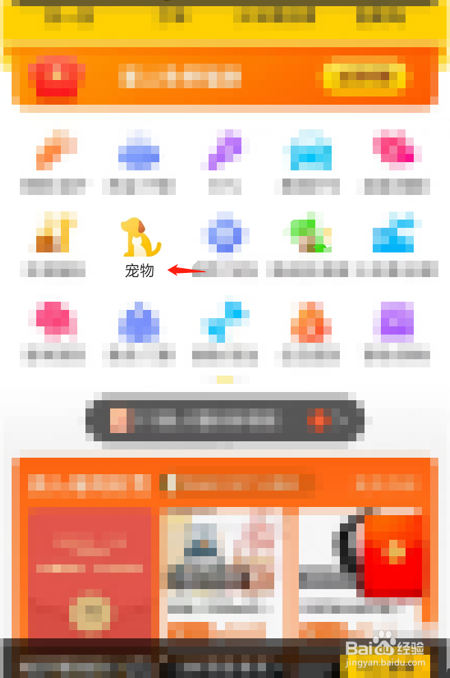 狗狗拉血还吐不吃东西怎么办