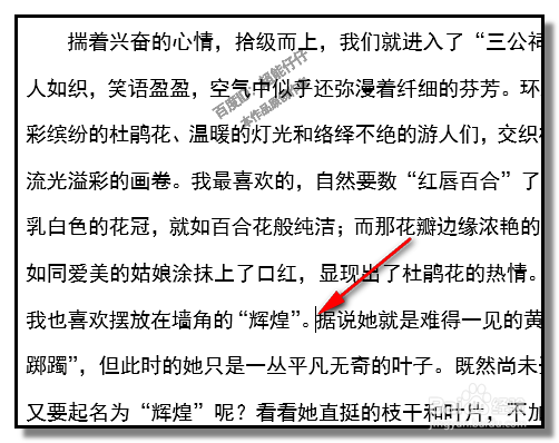 WORD2013快速选中文字的各种方法?