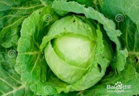 如何测自己的衰老指数，另附解救攻略！