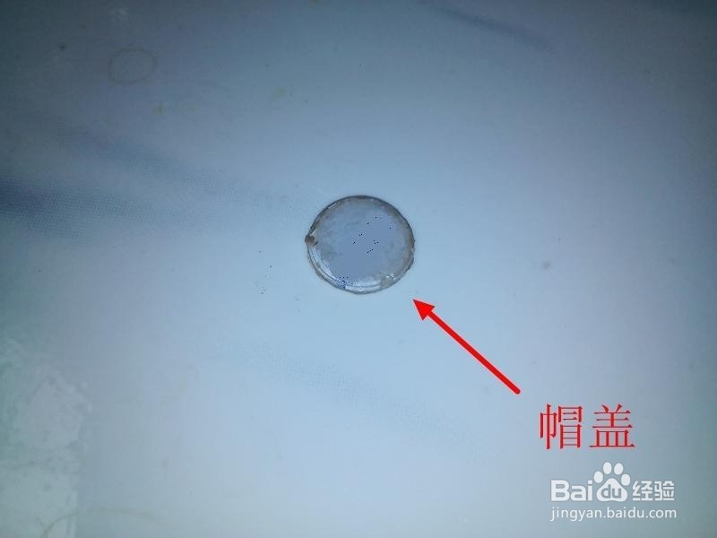 水龙头漏水了怎么办？