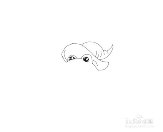 戴帽子的青蛙是怎么画的，如何画青蛙