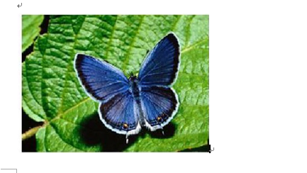 在word2010中利用图片功能实现抠图效果