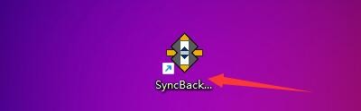 如何设置SyncBackPro隐藏按钮面板