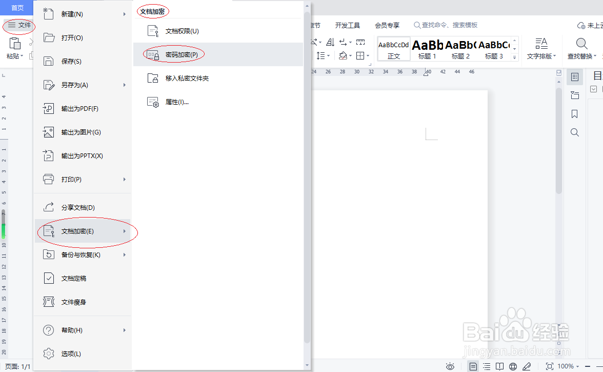 WPS文字处理 2022设置修改文件密码