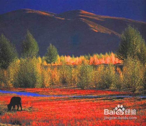 云南旅行丽江6日游线路