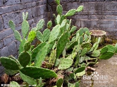 肿痛 怎么办 才能好的快