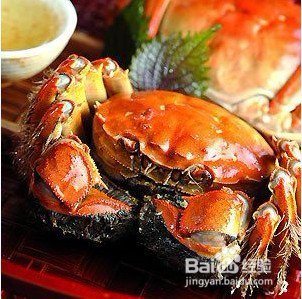 浙江长兴旅游攻略