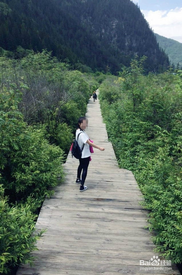 6月的九寨沟依然美如画