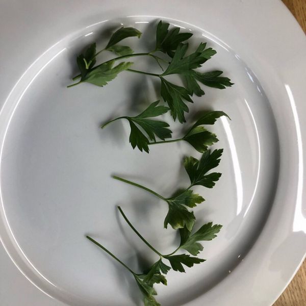 香焗摩洛哥虎纹虾