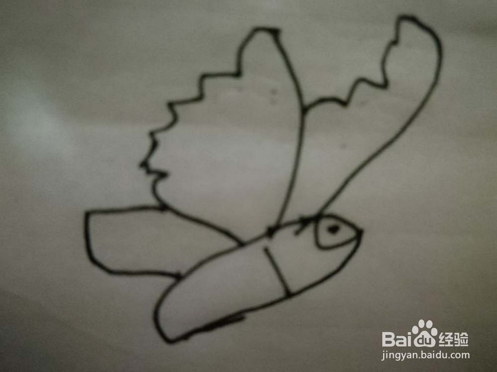 怎么样用简笔画画小的蝴蝶