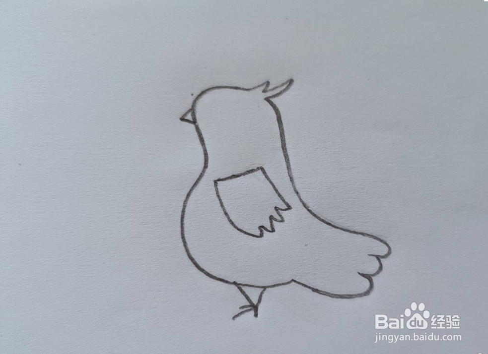 怎样画一只鸽子