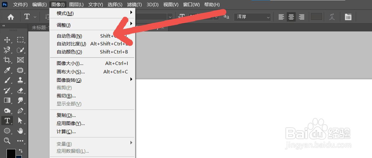 PS怎么进行图像的自动色调