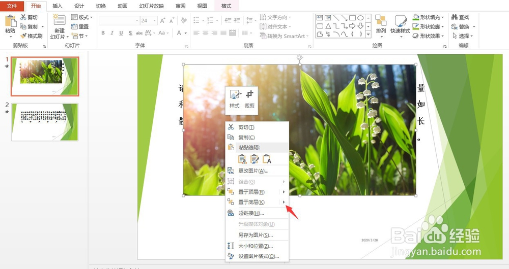 PPT里将图片置于文字底层方法(二)