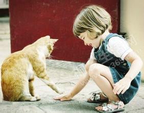 身处外地的我们应该教会留守子女些什么？