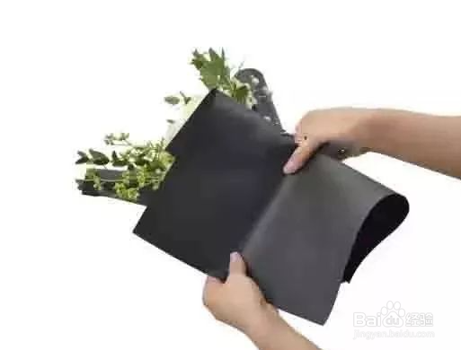 迷你小花束包装方法