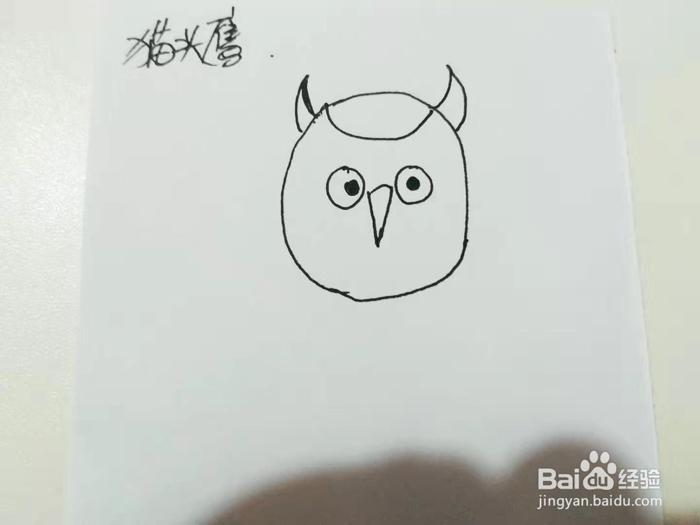 卡通猫头鹰简笔画怎么画呢