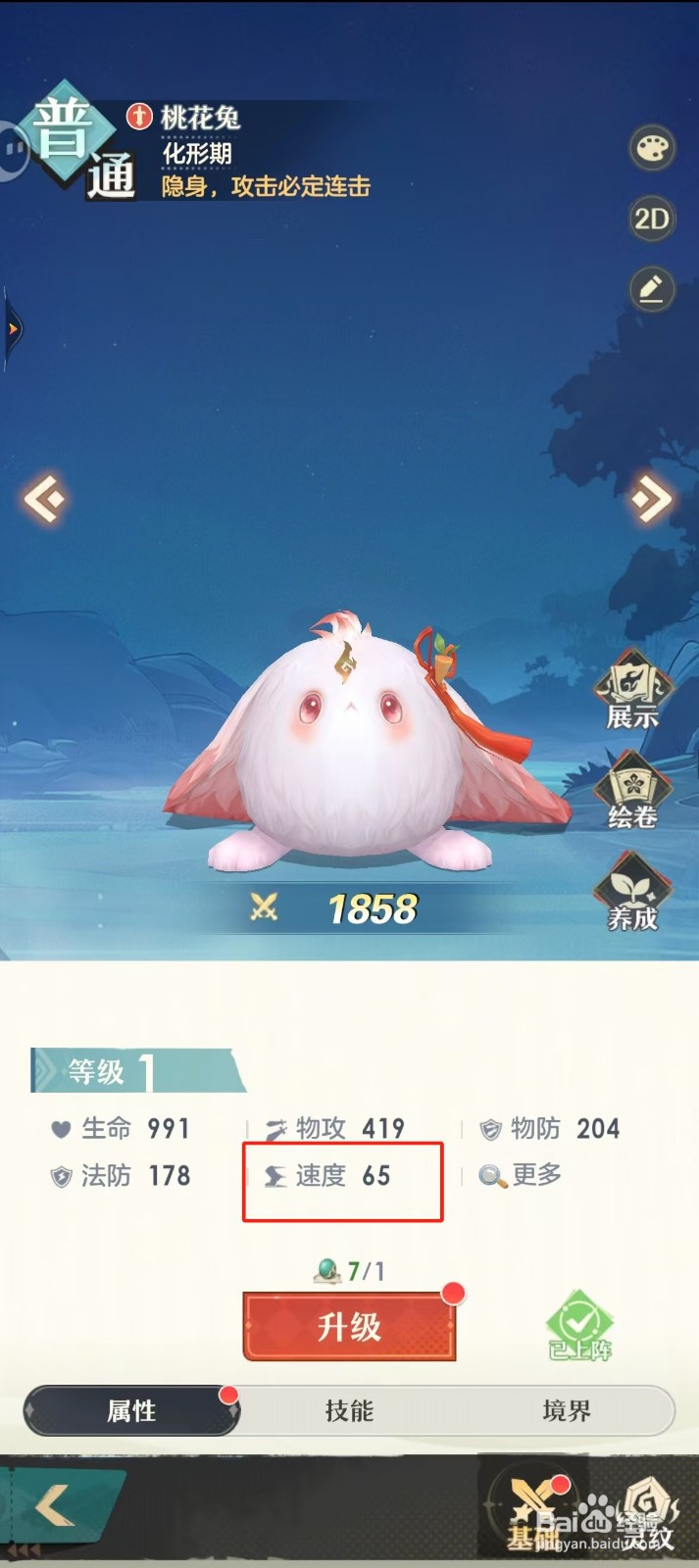 桃花师如何查看桃花兔的【速度 】？