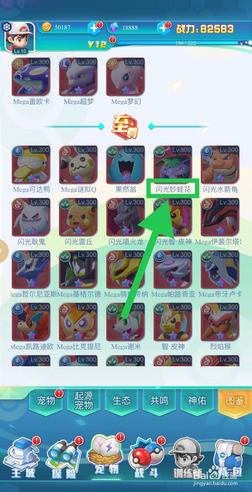 英雄魔法门如何查看闪光妙蛙花的特攻