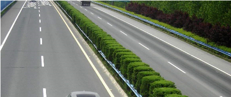 马蜂窝：怎么样合理安排清明节假期