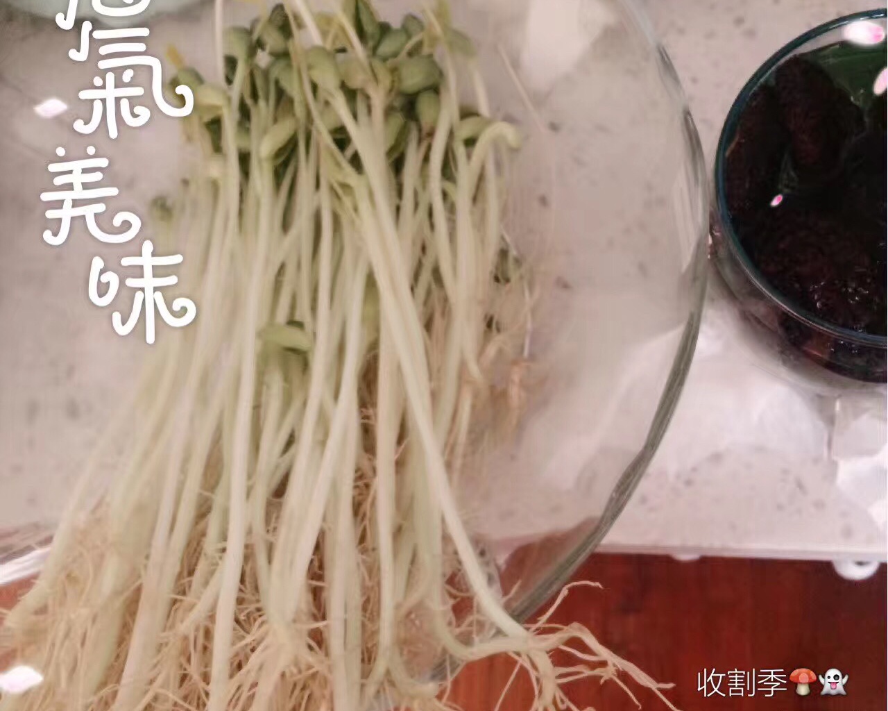 简单易上手凉拌小菜之自发(黑豆)豆芽的做法