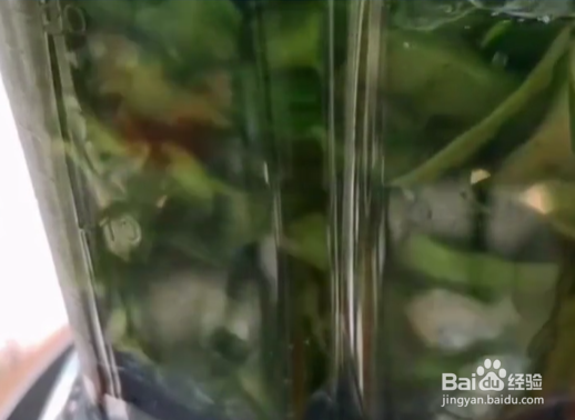 黄瓜凉皮的简单做法