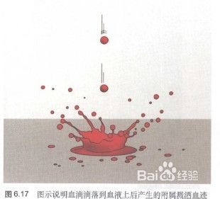 如何分辨衣服上的血迹是真血还是假血 百度经验