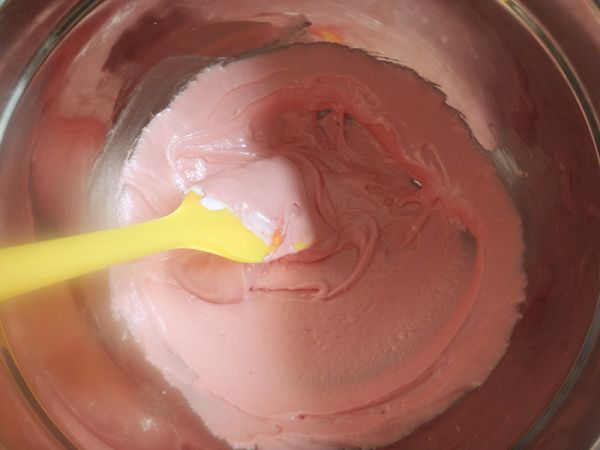 一抹酸的马卡龙