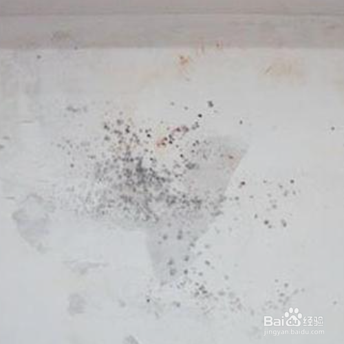墙体发霉怎样彻底处理