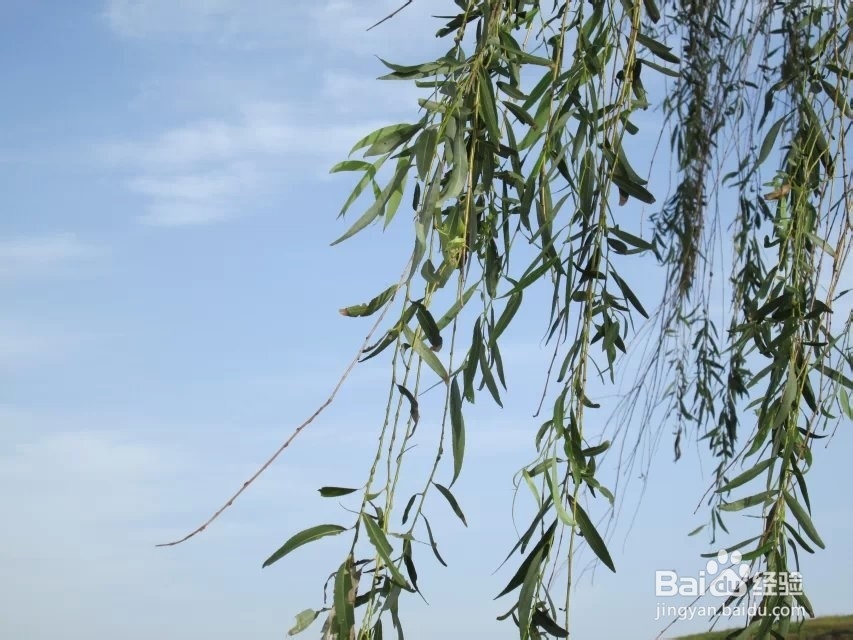 燕山水库有什么玩的