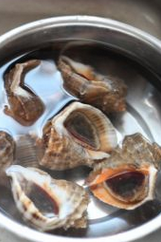 盛夏肥美时节——双椒拌螺丁