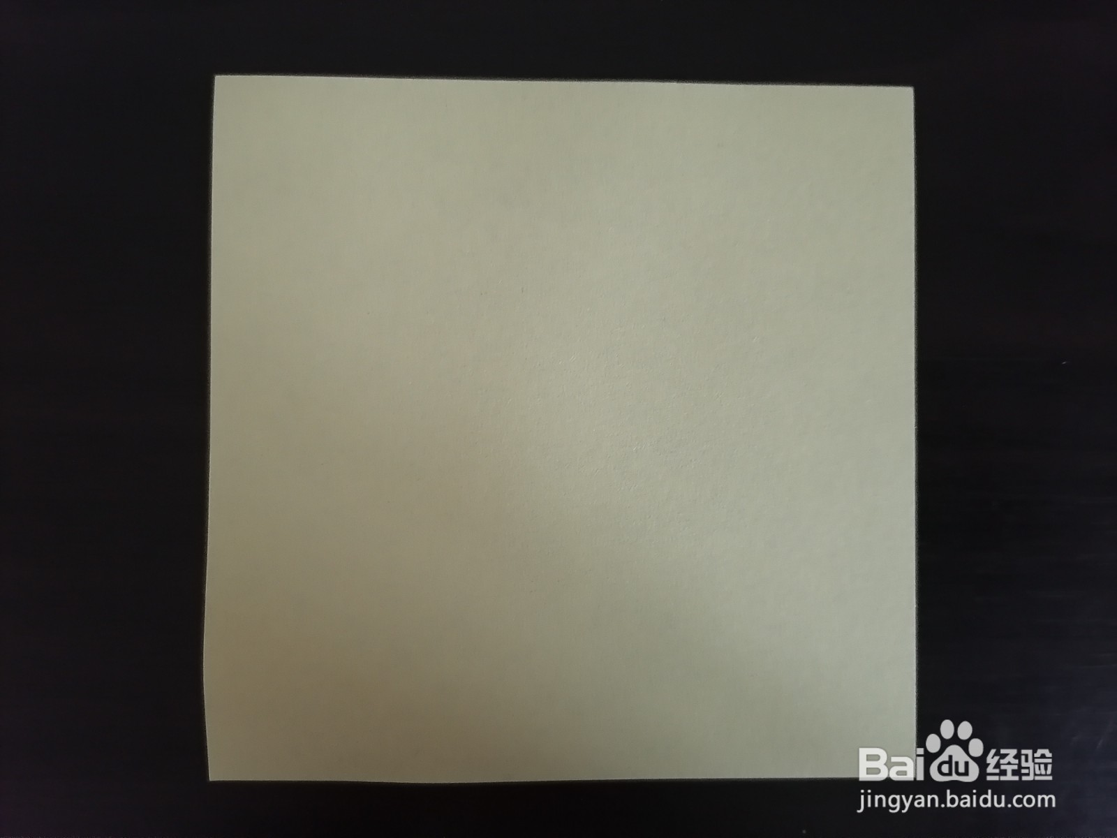 怎么剪草丛小瓢虫