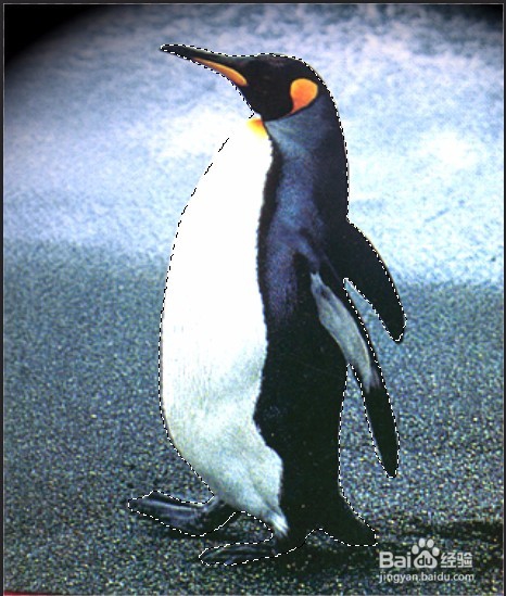 PS实例:抠图方法、技巧集合(二)