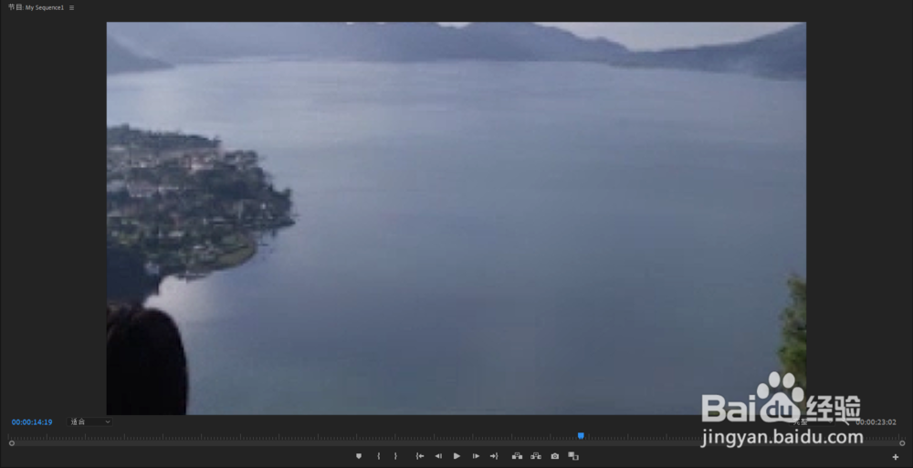 PR2019如何实现放大缩小过渡效果