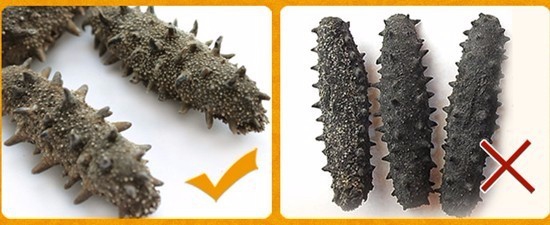 假海参是什么做的？如何辨别海参真假