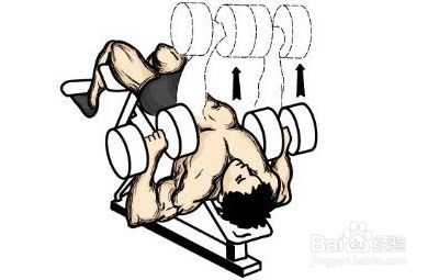 怎样用哑铃练胸肌(收藏版)