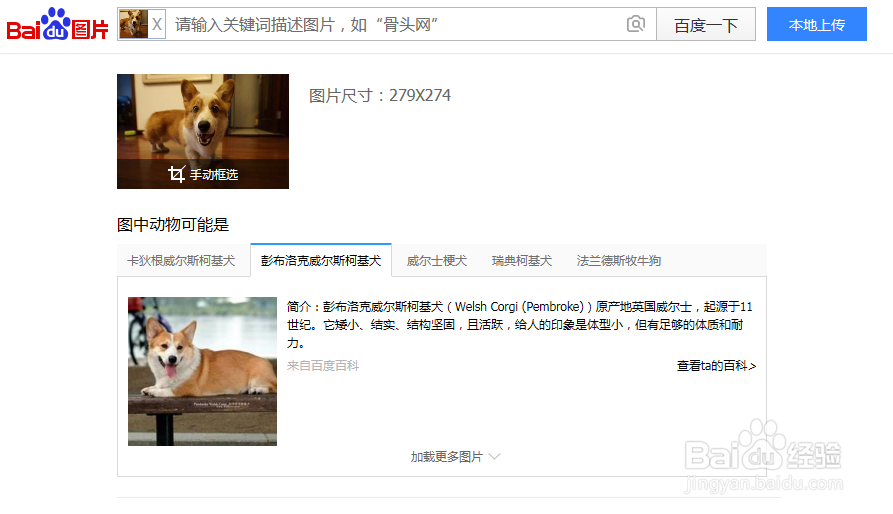 百度搜索框内的图片标志有什么用