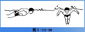 教你蝶泳技术详解